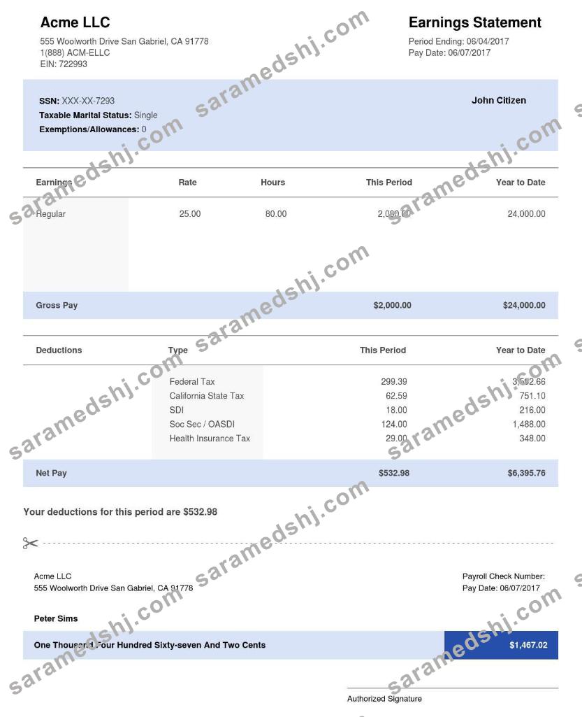USA CALIFORNIA ACME LLC  earning statement in word and pdf formats